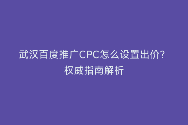 武汉百度推广CPC怎么设置出价？权威指南解析