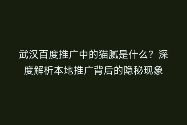 武汉百度推广中的猫腻是什么？深度解析本地推广背后的隐秘现象