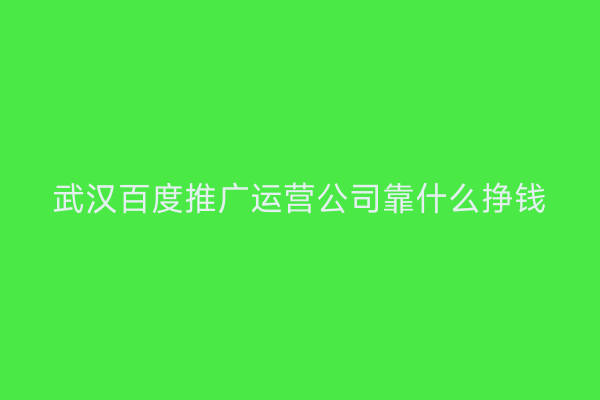 武汉百度推广运营公司靠什么挣钱