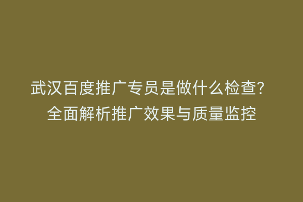 武汉百度推广专员是做什么检查？全面解析推广效果与质量监控