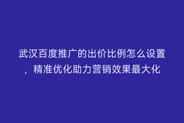 武汉百度推广的出价比例怎么设置，精准优化助力营销效果最大化