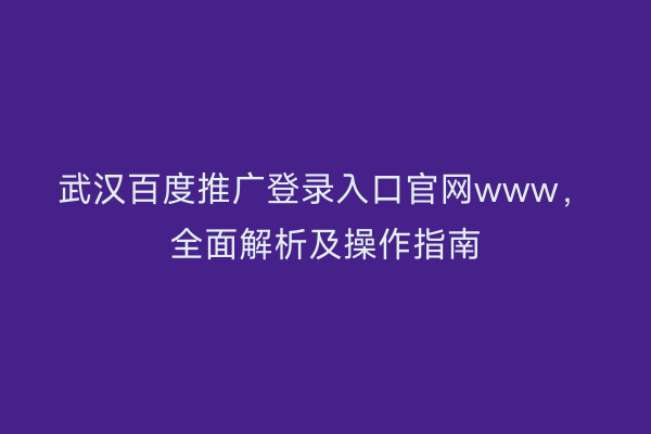 武汉百度推广登录入口官网www，全面解析及操作指南