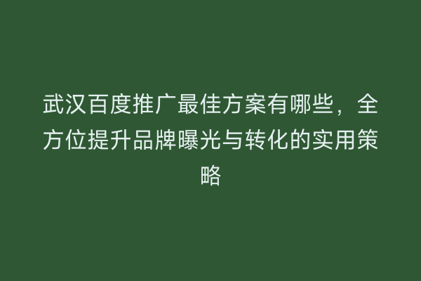 武汉百度推广最佳方案有哪些，全方位提升品牌曝光与转化的实用策略