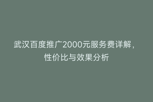 武汉百度推广2000元服务费详解，性价比与效果分析