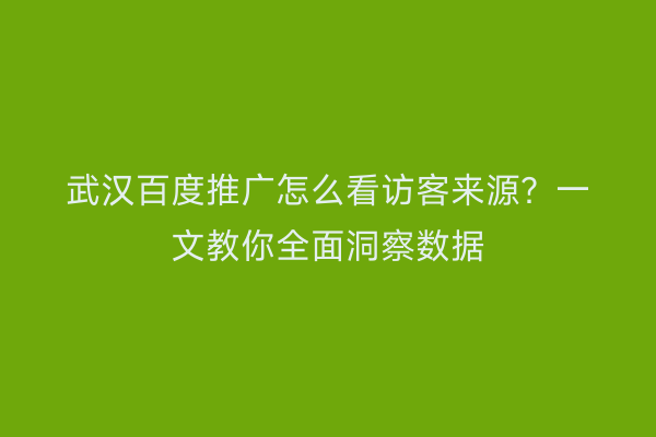武汉百度推广怎么看访客来源？一文教你全面洞察数据