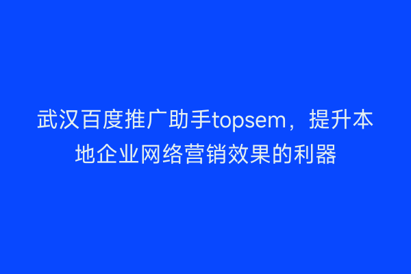 武汉百度推广助手topsem，提升本地企业网络营销效果的利器