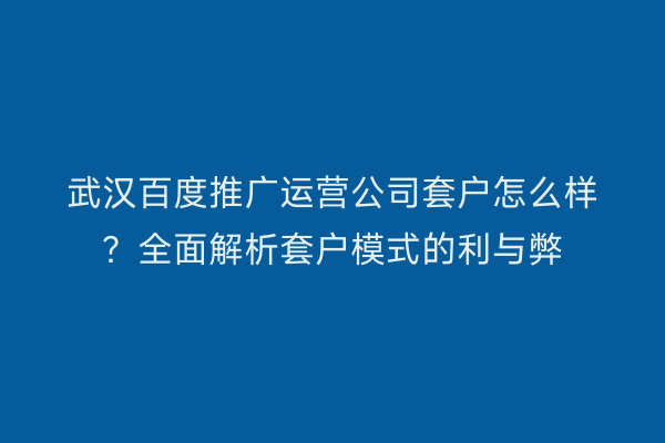 武汉百度推广运营公司套户怎么样？全面解析套户模式的利与弊