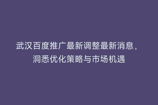 武汉百度推广最新调整最新消息，洞悉优化策略与市场机遇
