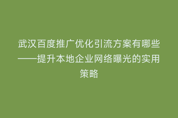 武汉百度推广优化引流方案有哪些——提升本地企业网络曝光的实用策略