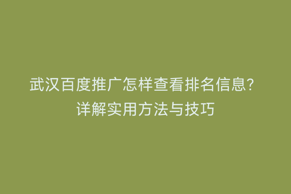 武汉百度推广怎样查看排名信息？详解实用方法与技巧