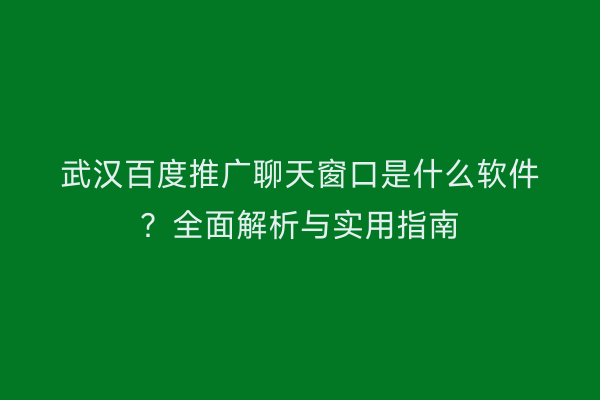 武汉百度推广聊天窗口是什么软件？全面解析与实用指南