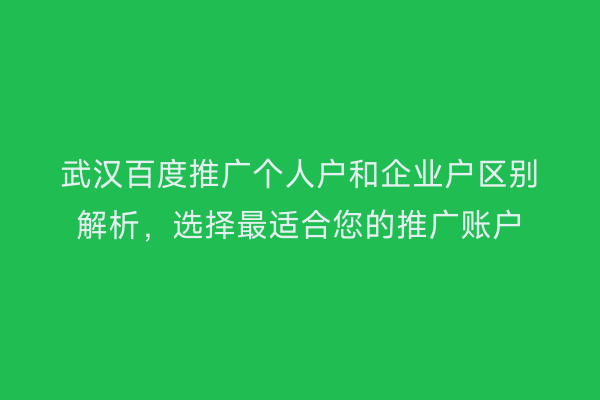 武汉百度推广个人户和企业户区别解析，选择最适合您的推广账户