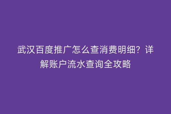 武汉百度推广怎么查消费明细？详解账户流水查询全攻略