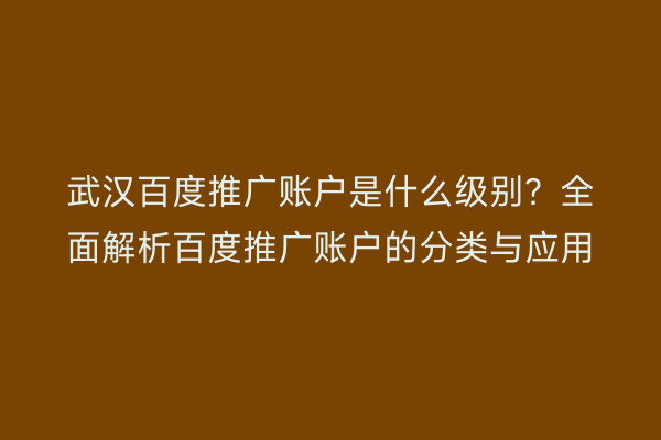 武汉百度推广账户是什么级别？全面解析百度推广账户的分类与应用