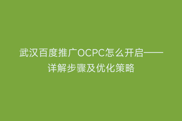 武汉百度推广OCPC怎么开启——详解步骤及优化策略
