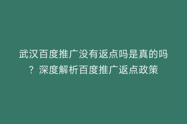 武汉百度推广没有返点吗是真的吗？深度解析百度推广返点政策