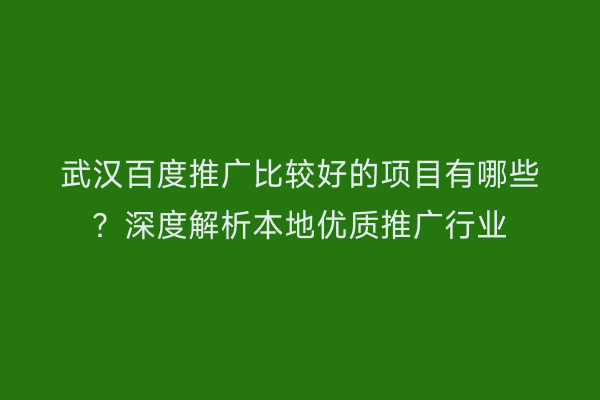 武汉百度推广比较好的项目有哪些？深度解析本地优质推广行业