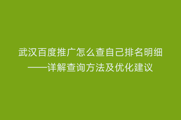 武汉百度推广怎么查自己排名明细——详解查询方法及优化建议