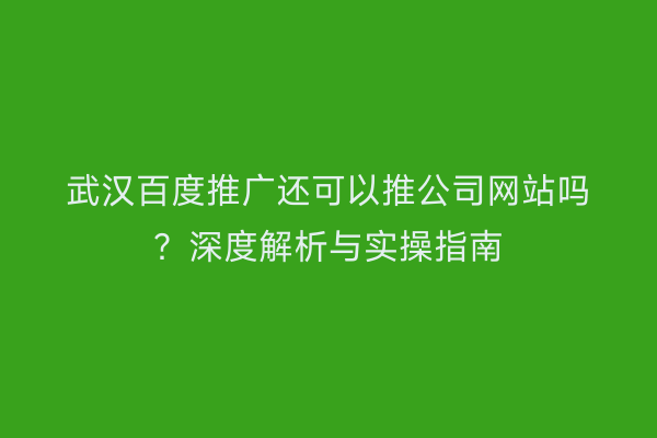 武汉百度推广还可以推公司网站吗？深度解析与实操指南