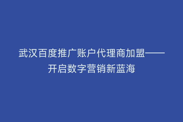 武汉百度推广账户代理商加盟——开启数字营销新蓝海