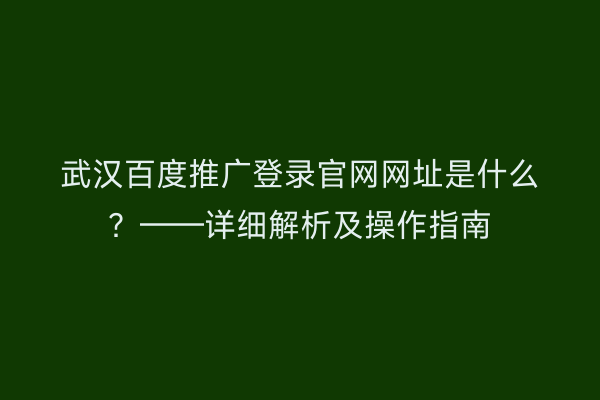 武汉百度推广登录官网网址是什么？——详细解析及操作指南