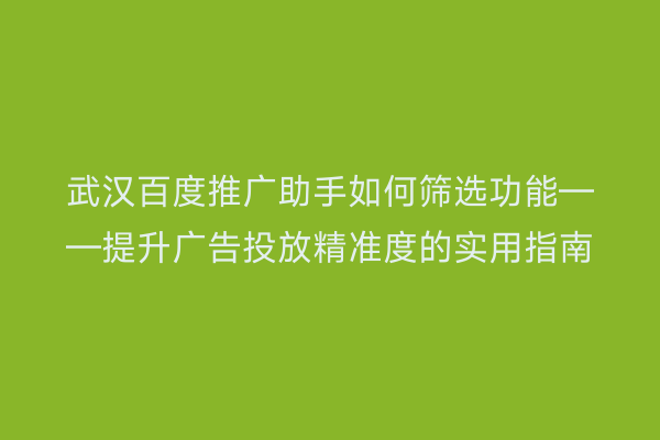 武汉百度推广助手如何筛选功能——提升广告投放精准度的实用指南