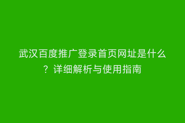 武汉百度推广登录首页网址是什么？详细解析与使用指南