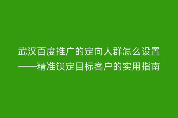 武汉百度推广的定向人群怎么设置——精准锁定目标客户的实用指南