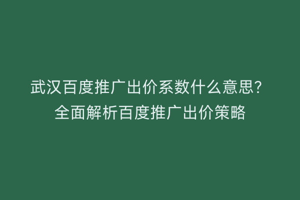 武汉百度推广出价系数什么意思？全面解析百度推广出价策略