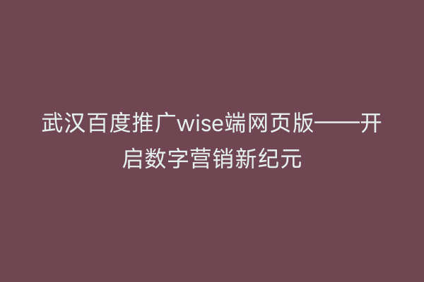 武汉百度推广wise端网页版——开启数字营销新纪元