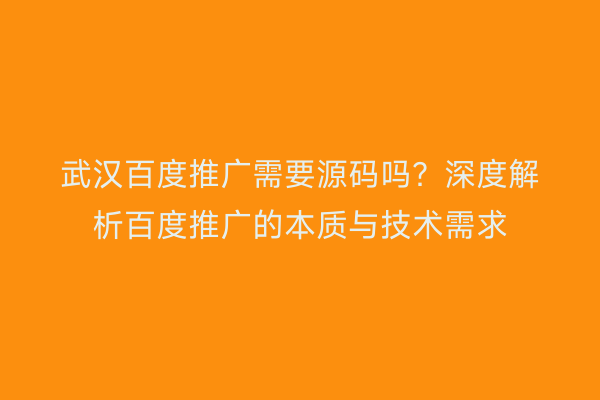 武汉百度推广需要源码吗？深度解析百度推广的本质与技术需求