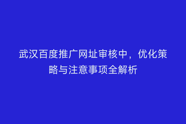 武汉百度推广网址审核中，优化策略与注意事项全解析