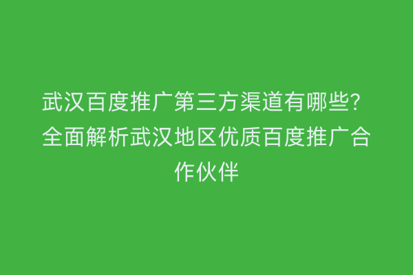 武汉百度推广第三方渠道有哪些？全面解析武汉地区优质百度推广合作伙伴