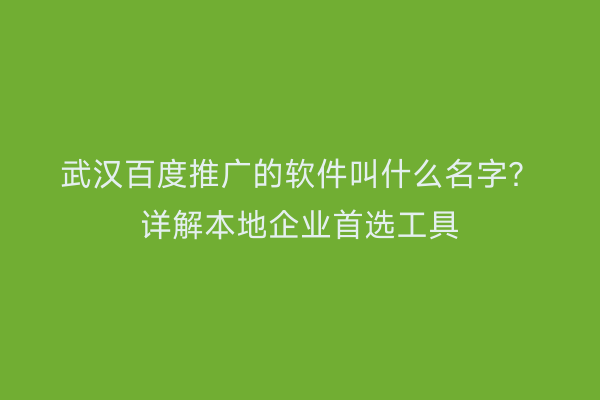 武汉百度推广的软件叫什么名字？详解本地企业首选工具