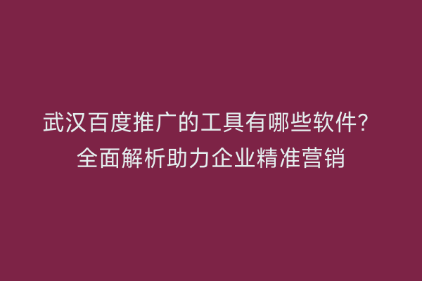 武汉百度推广的工具有哪些软件？全面解析助力企业精准营销