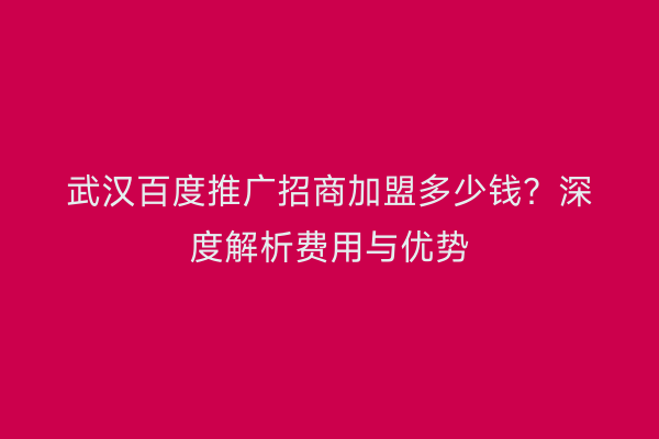 武汉百度推广招商加盟多少钱？深度解析费用与优势