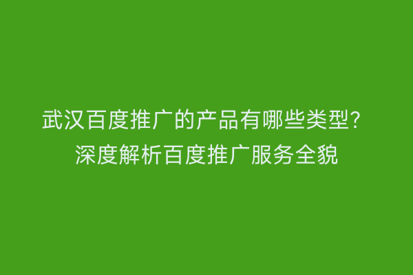 武汉百度推广的产品有哪些类型？深度解析百度推广服务全貌