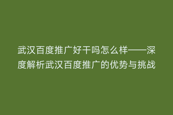 武汉百度推广好干吗怎么样——深度解析武汉百度推广的优势与挑战