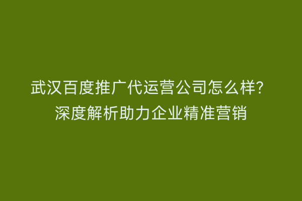 武汉百度推广代运营公司怎么样？深度解析助力企业精准营销