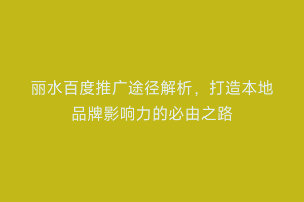 丽水百度推广途径解析，打造本地品牌影响力的必由之路