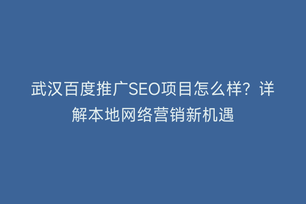 武汉百度推广SEO项目怎么样？详解本地网络营销新机遇