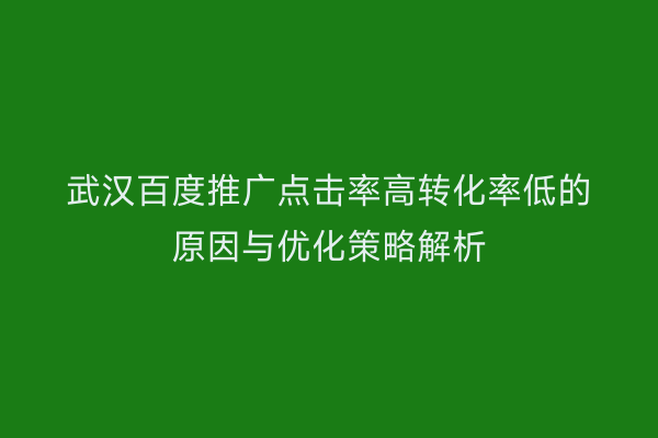 武汉百度推广点击率高转化率低的原因与优化策略解析