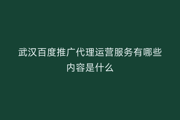 武汉百度推广代理运营服务有哪些内容是什么