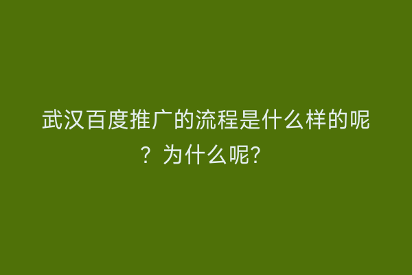 武汉百度推广的流程是什么样的呢？为什么呢？