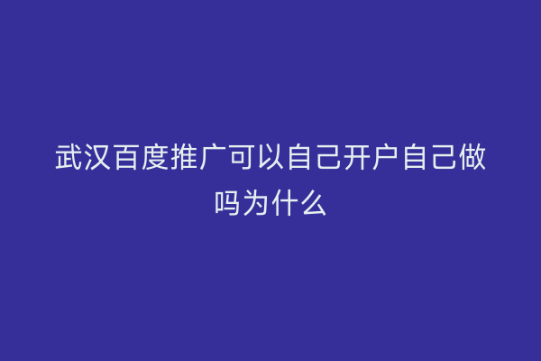 武汉百度推广可以自己开户自己做吗为什么