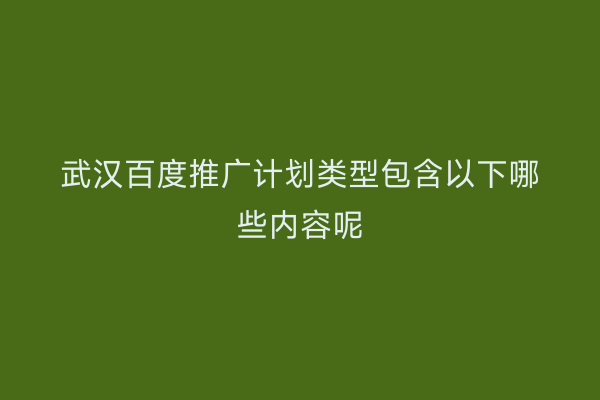 武汉百度推广计划类型包含以下哪些内容呢