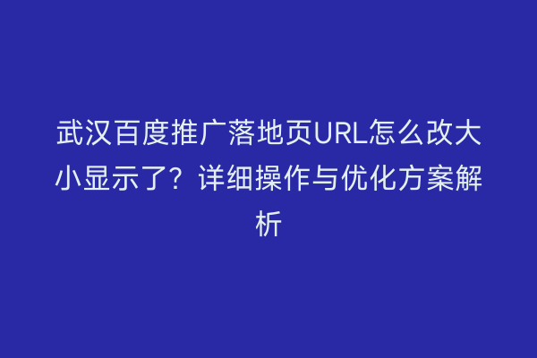 武汉百度推广落地页URL怎么改大小显示了？详细操作与优化方案解析