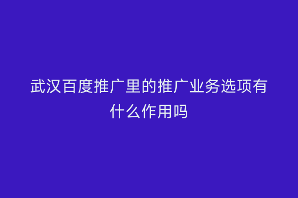 武汉百度推广里的推广业务选项有什么作用吗