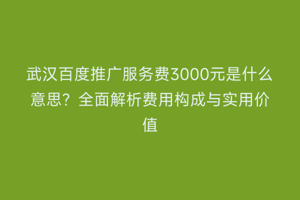 武汉百度推广服务费3000元是什么意思？全面解析费用构成与实用价值