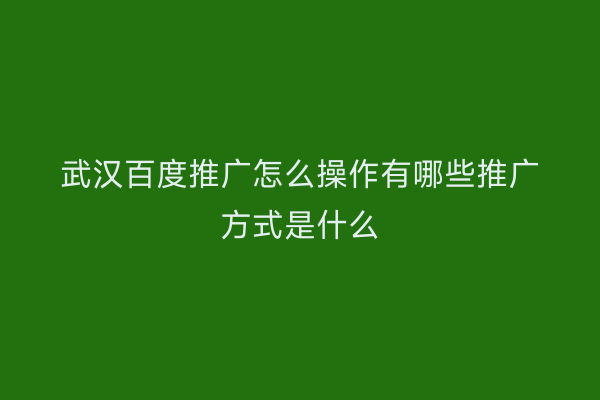 武汉百度推广怎么操作有哪些推广方式是什么